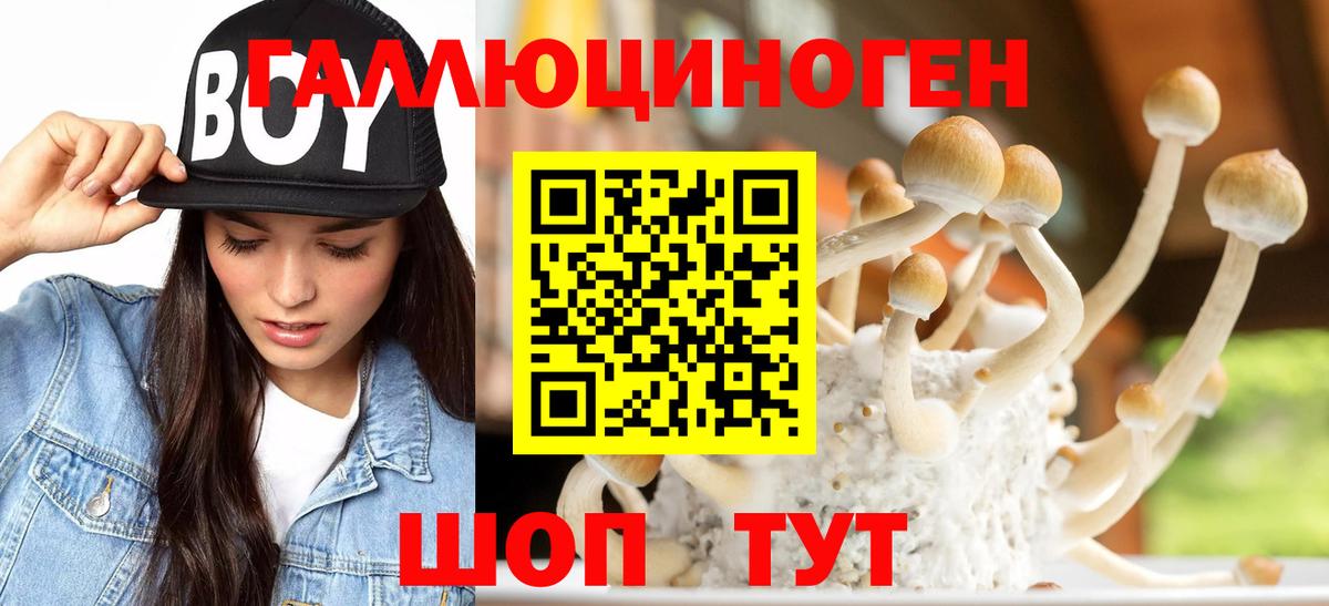 Псилоцибиновые грибы мицелий Тара